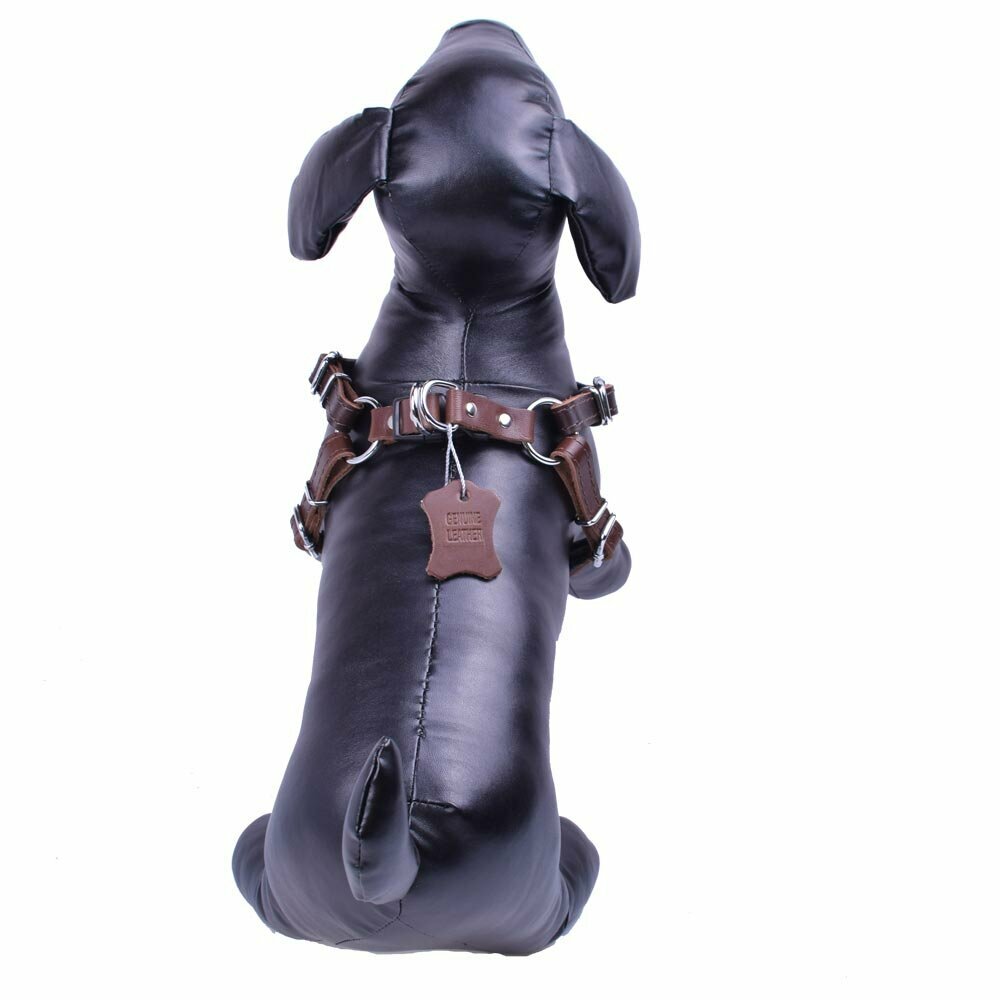 Handgemachte Hundebrustgeschirre aus Leder von GogiPet