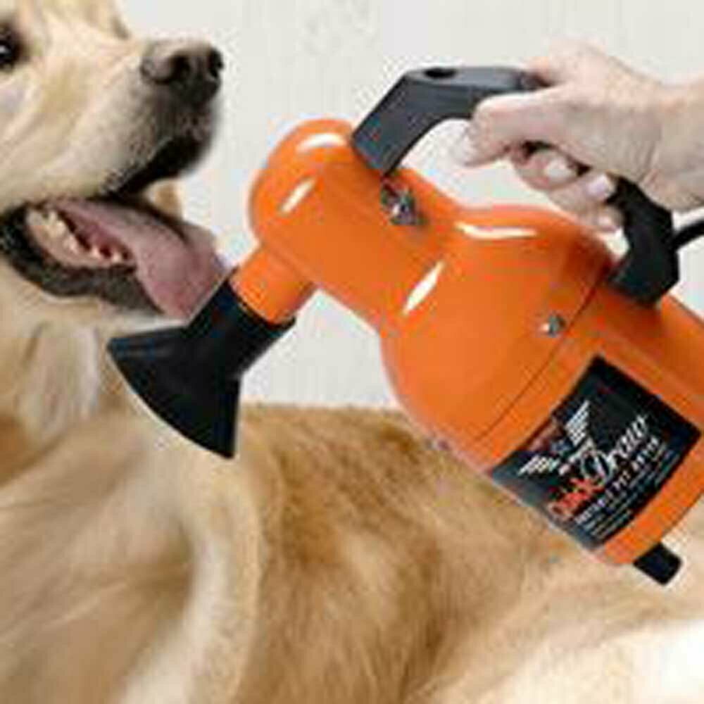 Secador de perros para criadores, peluqueros caninos y usuarios exigentes