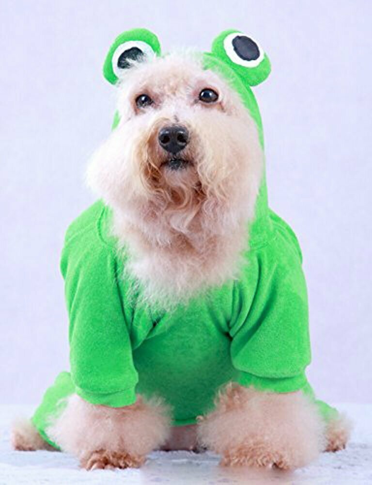 Mono para perros de lana verde "Rana" de DoggyDolly - traje de rana