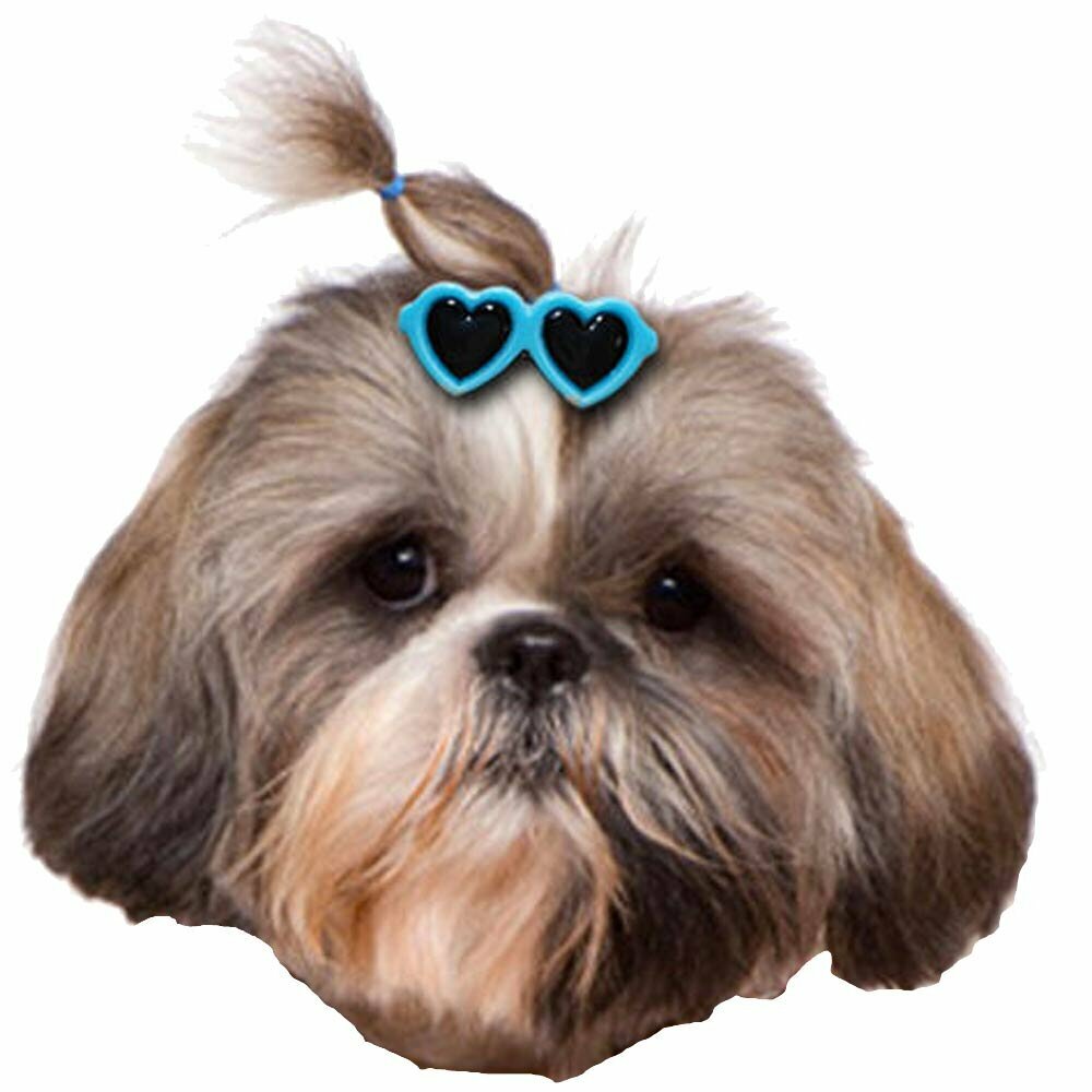 Horquilla para el pelo de perros - Gafas de sol azules