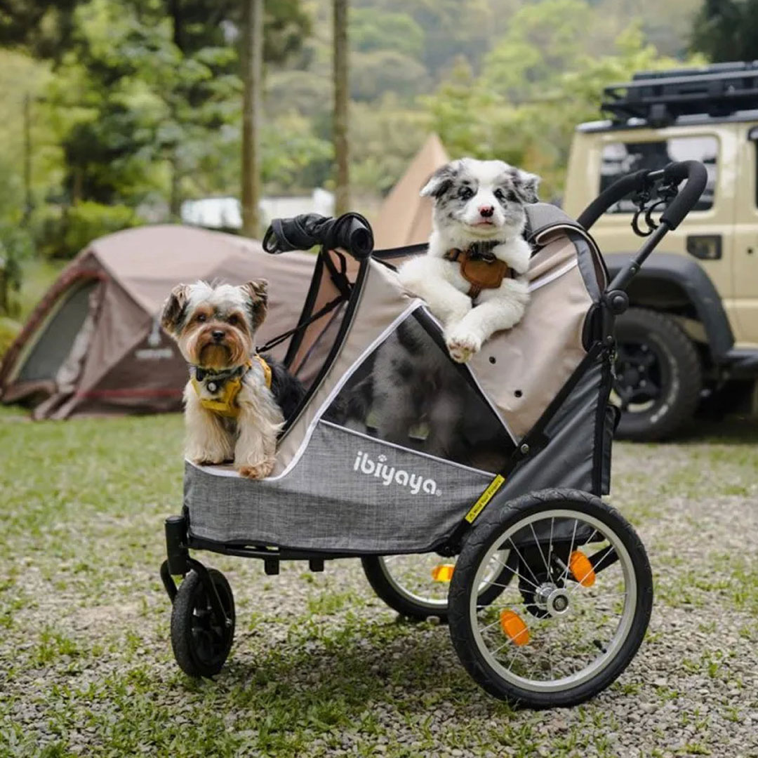 Cochecito de perro para perros pequeños, carrito de paseo plegable para  mascotas, ligero, impermeable con cesta de almacenamiento para cachorros