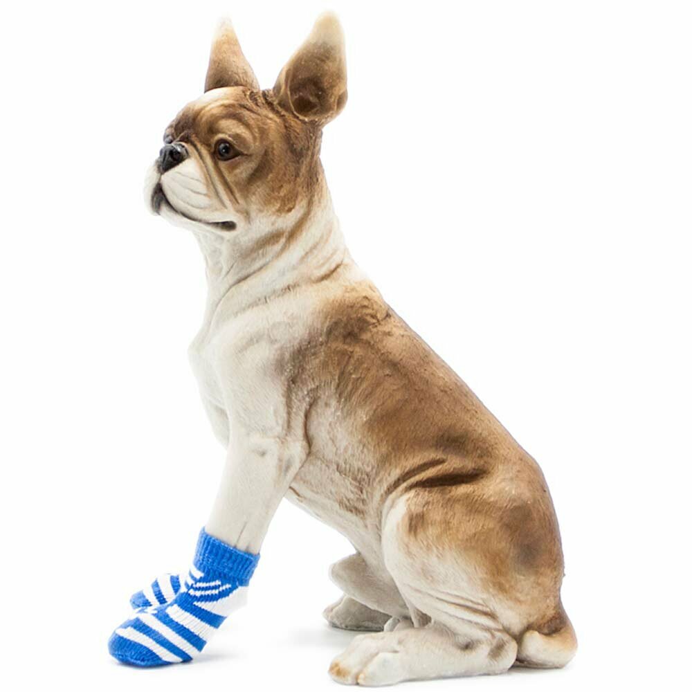 Calcetines antideslizantes para perros GogiPet, azul con corbata
