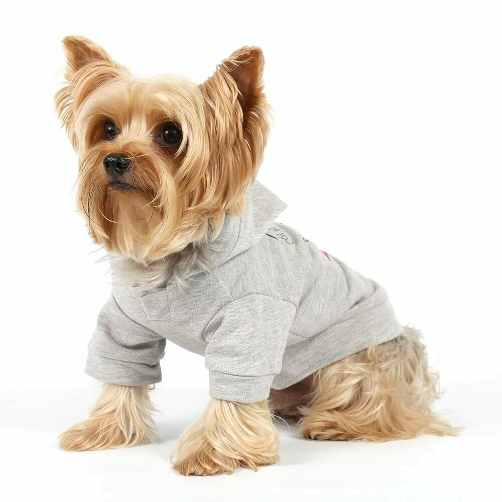 Suéter gris de moda para perros de DoggyDolly para el invierno y entretiempo