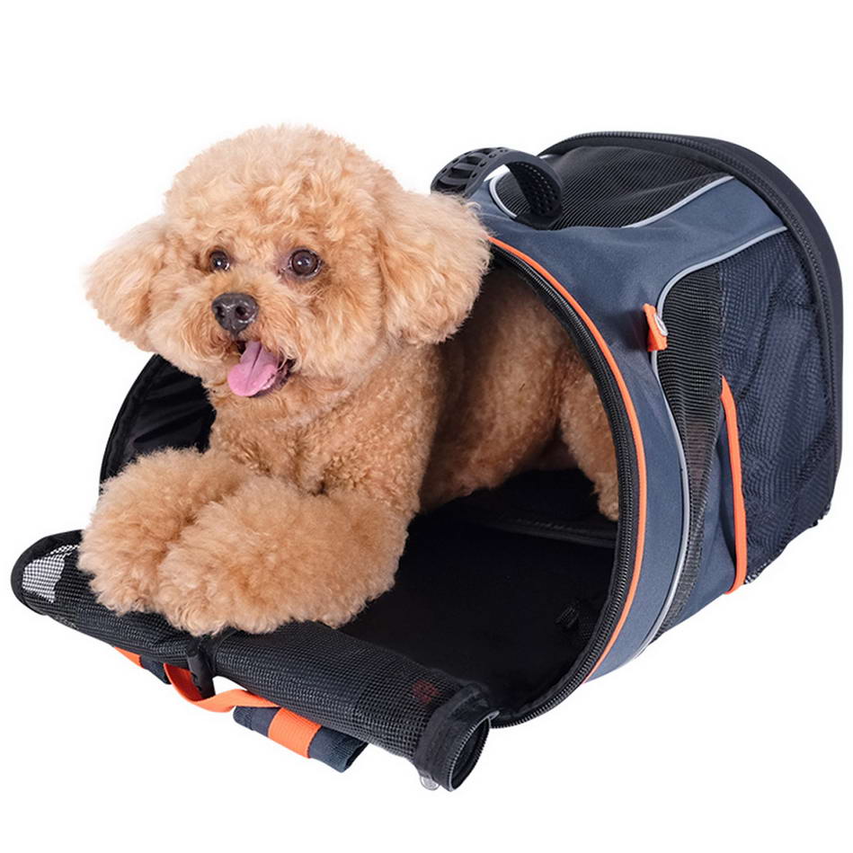 Mochila, bolso y lugar de descanso para perros