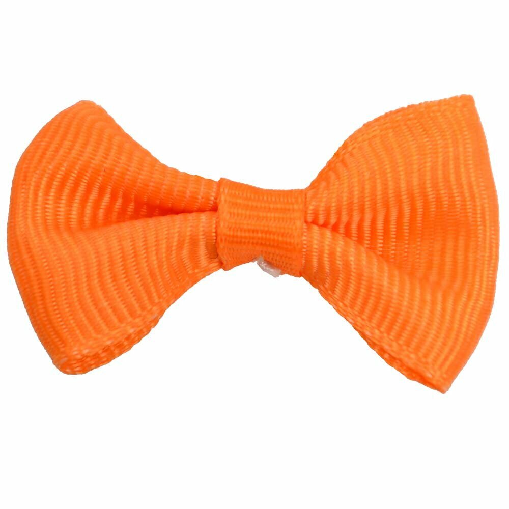 Lazo para el pelo de perros con goma elástica de GogiPet, en color naranja - Modelo Estela