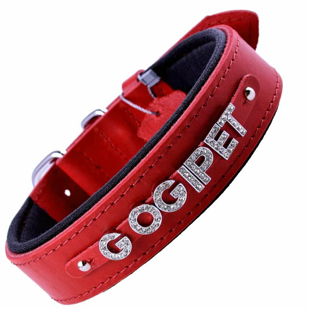 Cree collares personalizados para perros con GogiPet