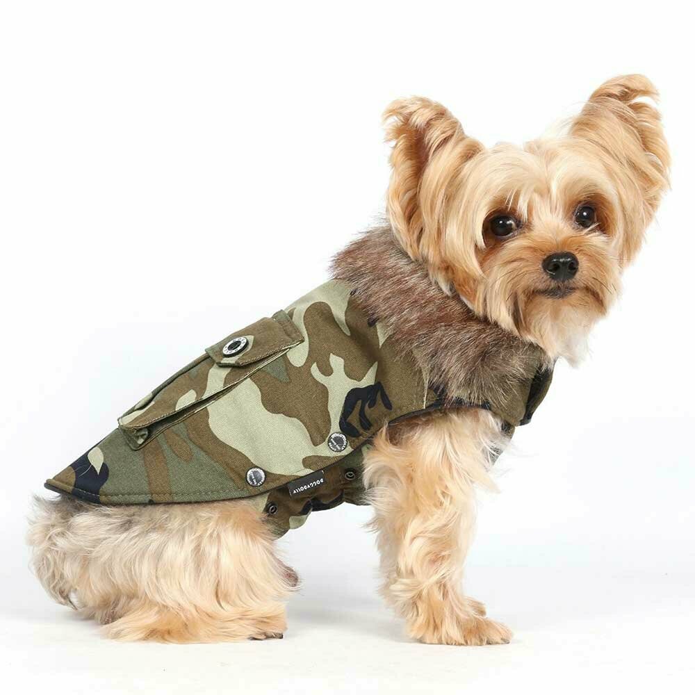 Ropa militar para perros