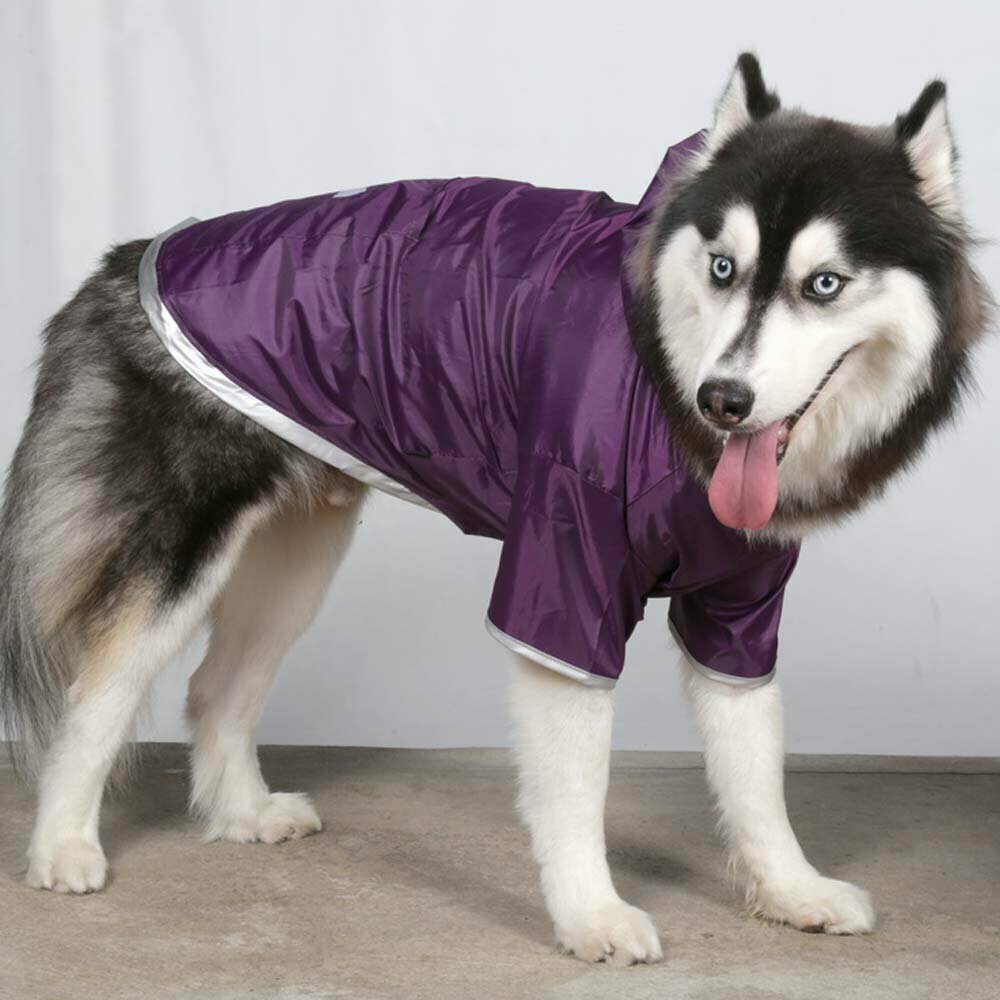 Chubasquero para perros grandes, capucha y 2 mangas, lila