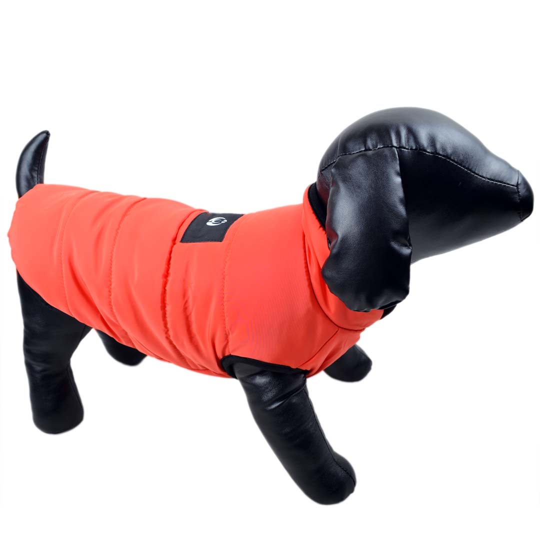 Cálido anorak para perros en color naranja