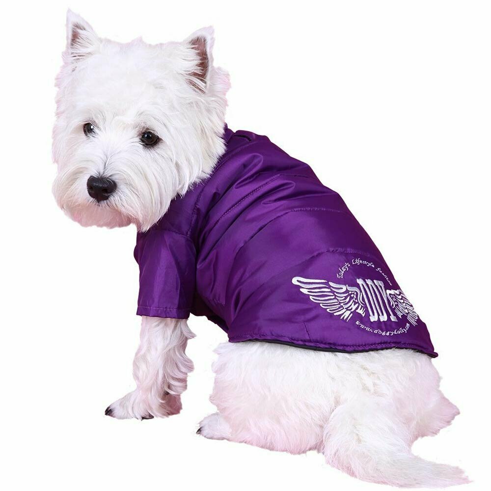 Bonito anorak lila para perros de DoggyDolly ropa impermeable para perros