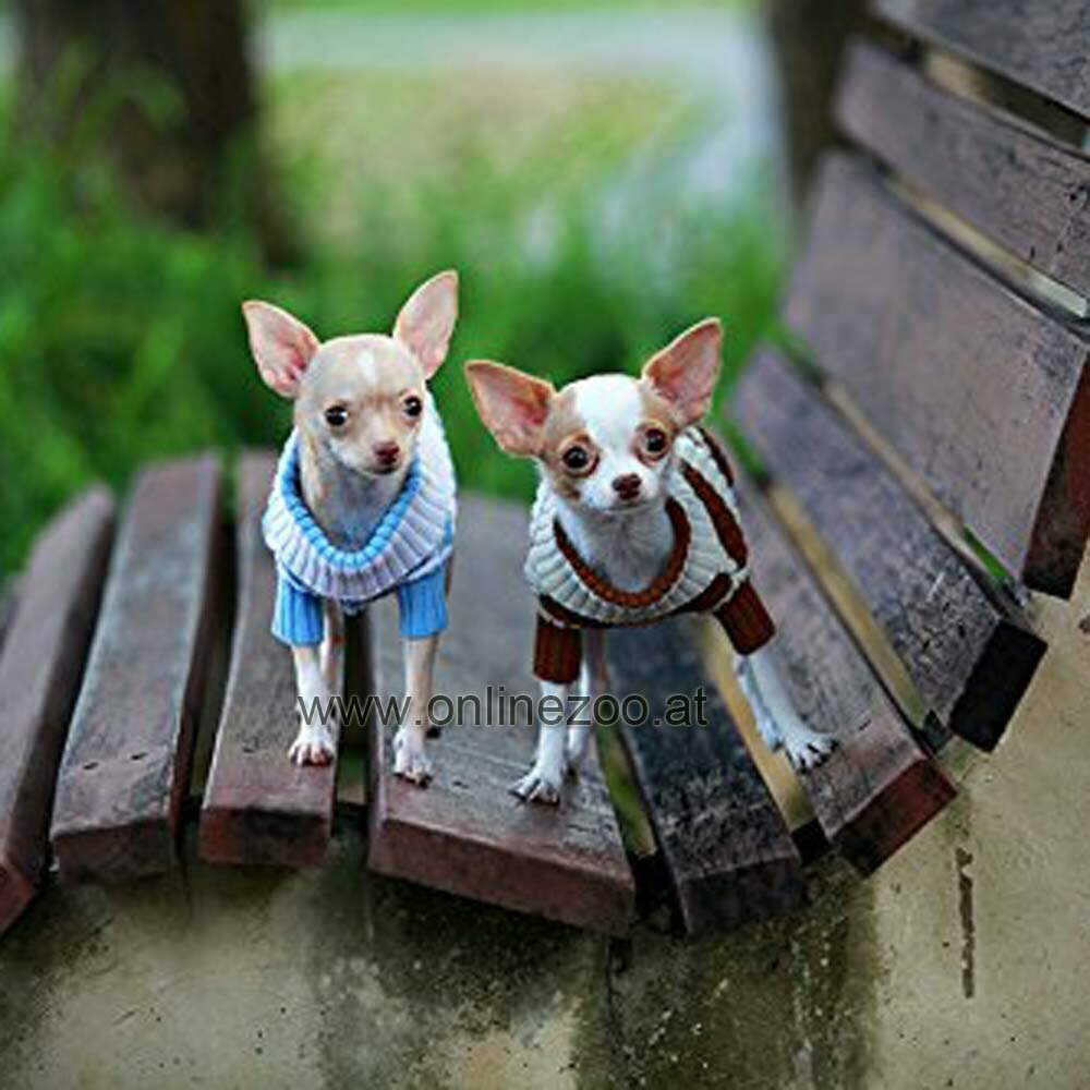 Ropa de abrigo para perros DoggyDolly - Jersey para perros de punto con rayas celestes y blancas