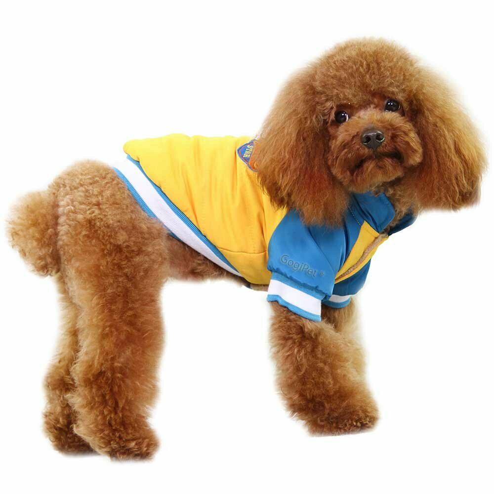 Chaqueta cálida y deportiva para perros GogiPet, amarilla
