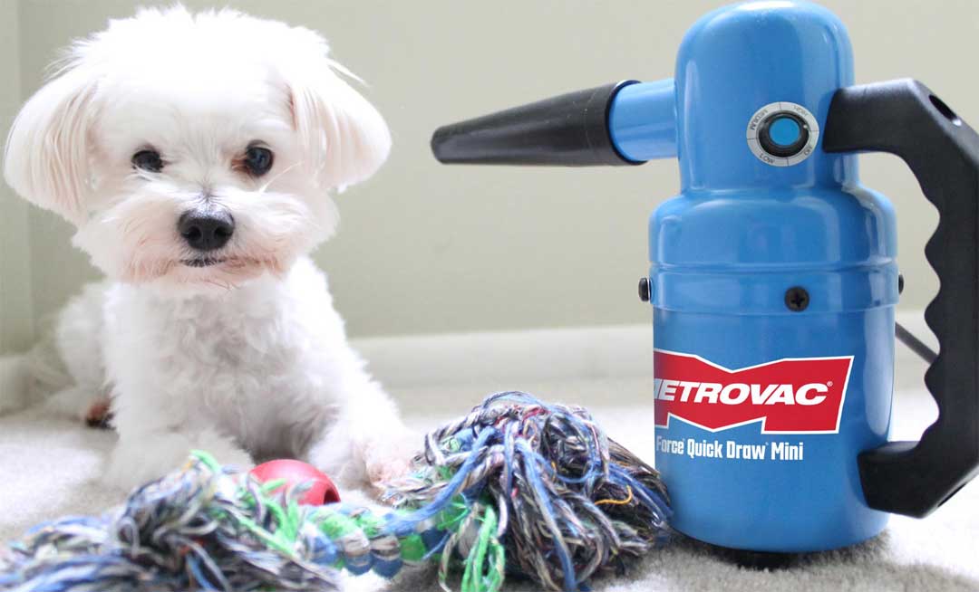 Pequeño y práctico secador para perros con velocidad ajustable - Air Force QuickDraw mini de Metro 
