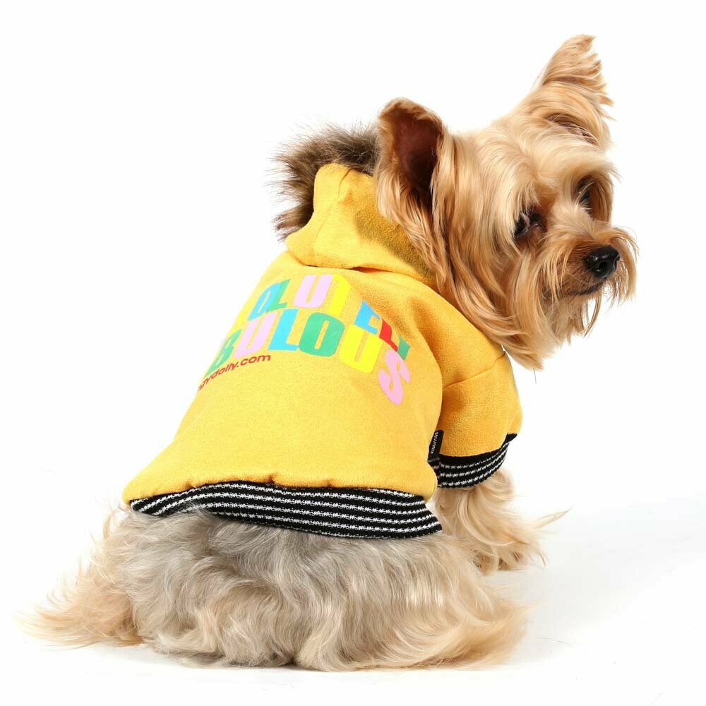 Abrigo para perros de ante sintético amarillo con capucha de DoggyDolly, 
