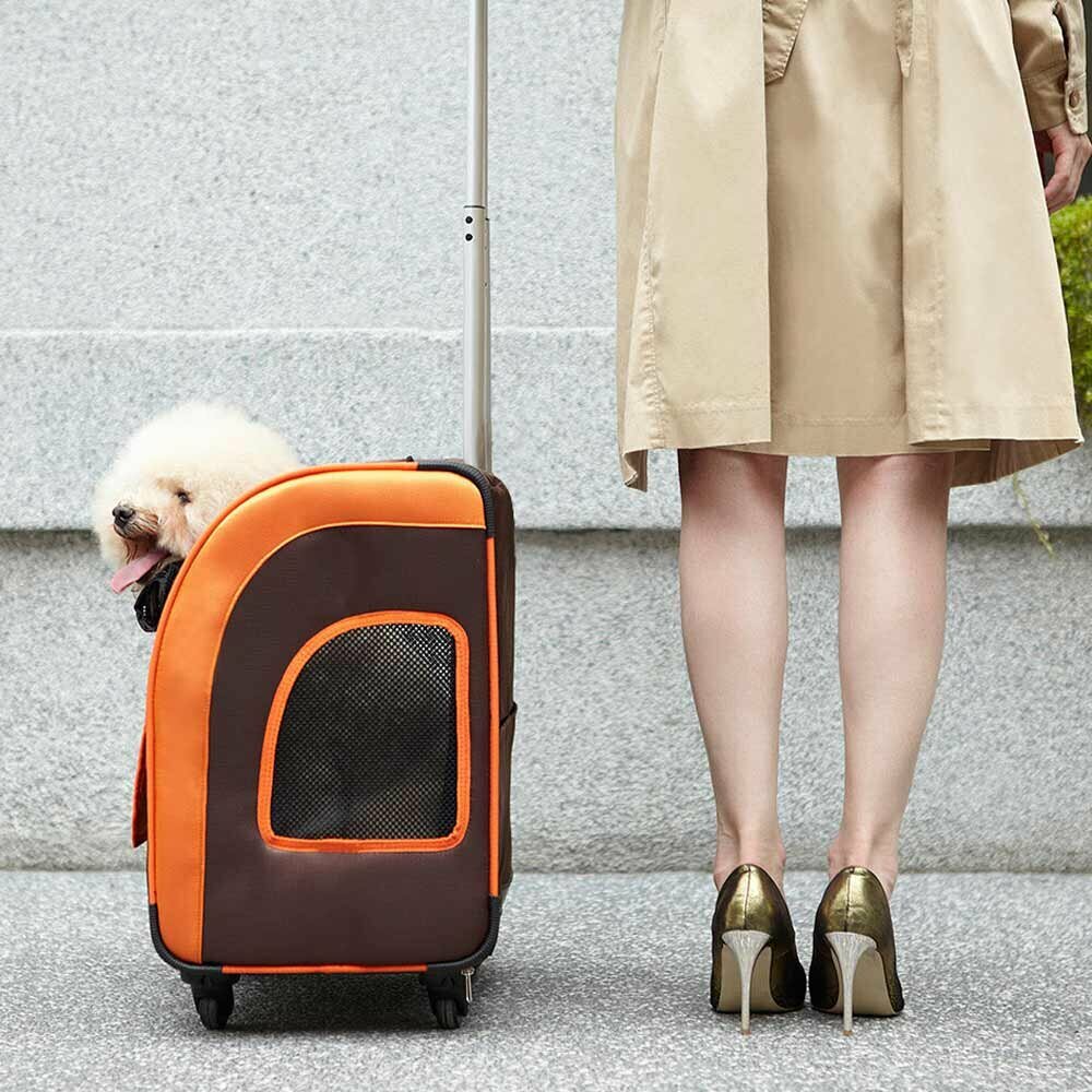 Trolley y mochila moderno para perros todo en uno