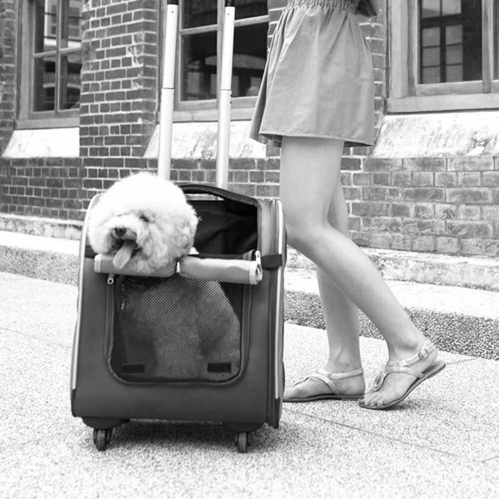 Trolley y mochila para perros de alta calidad y bajo precio.