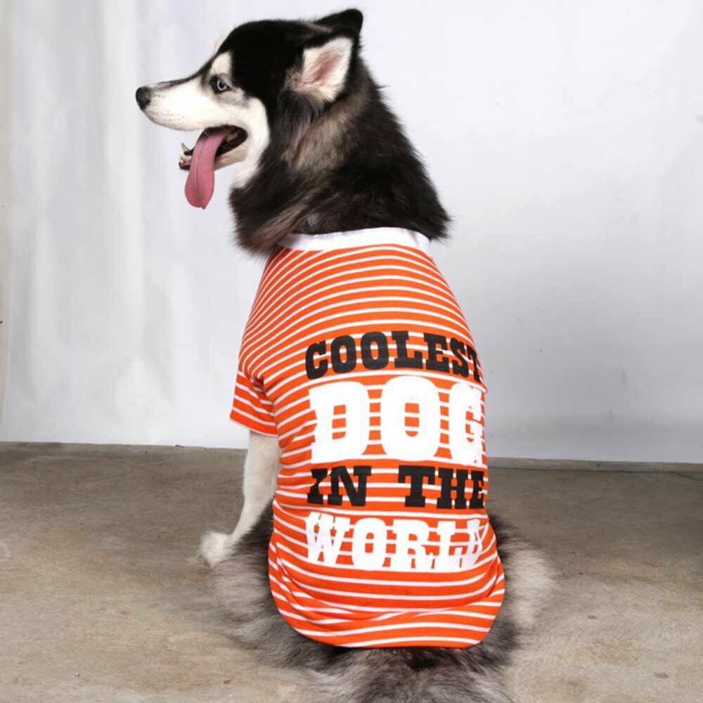 Ropa para perros grandes de DoggyDolly BD214 - Camiseta de algodón