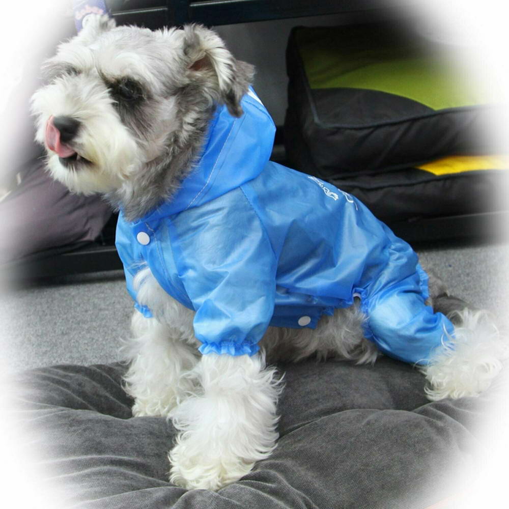 Chubasquero azul para perros "Walking In The Rain" con 4 mangas
