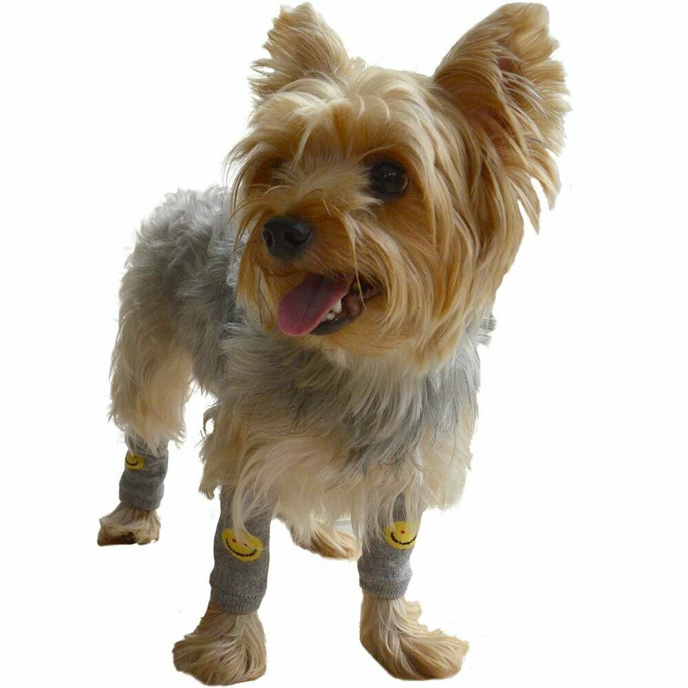 Calentadores de patas para perros "Smiley" de DoggyDolly WM001