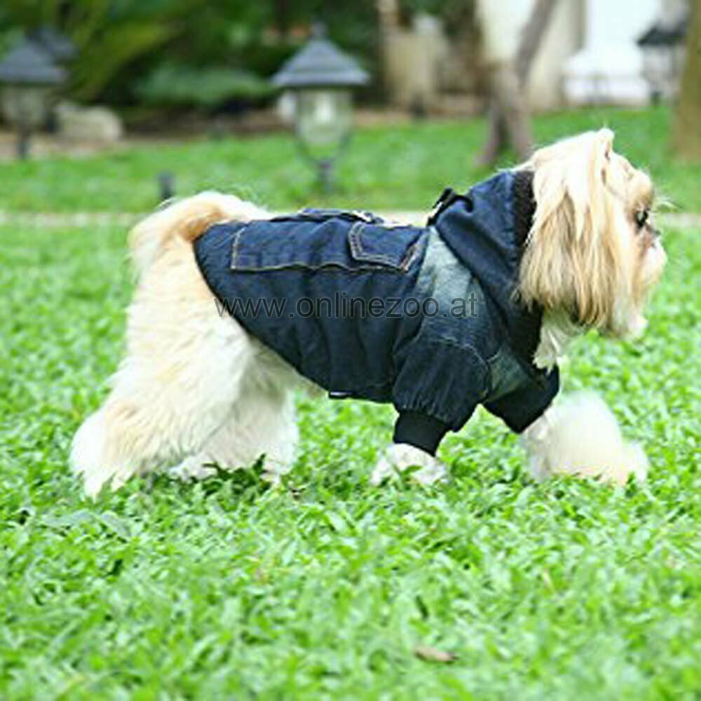 Ropa de abrigo para perros de DoggyDolly - Moda para perros W200
