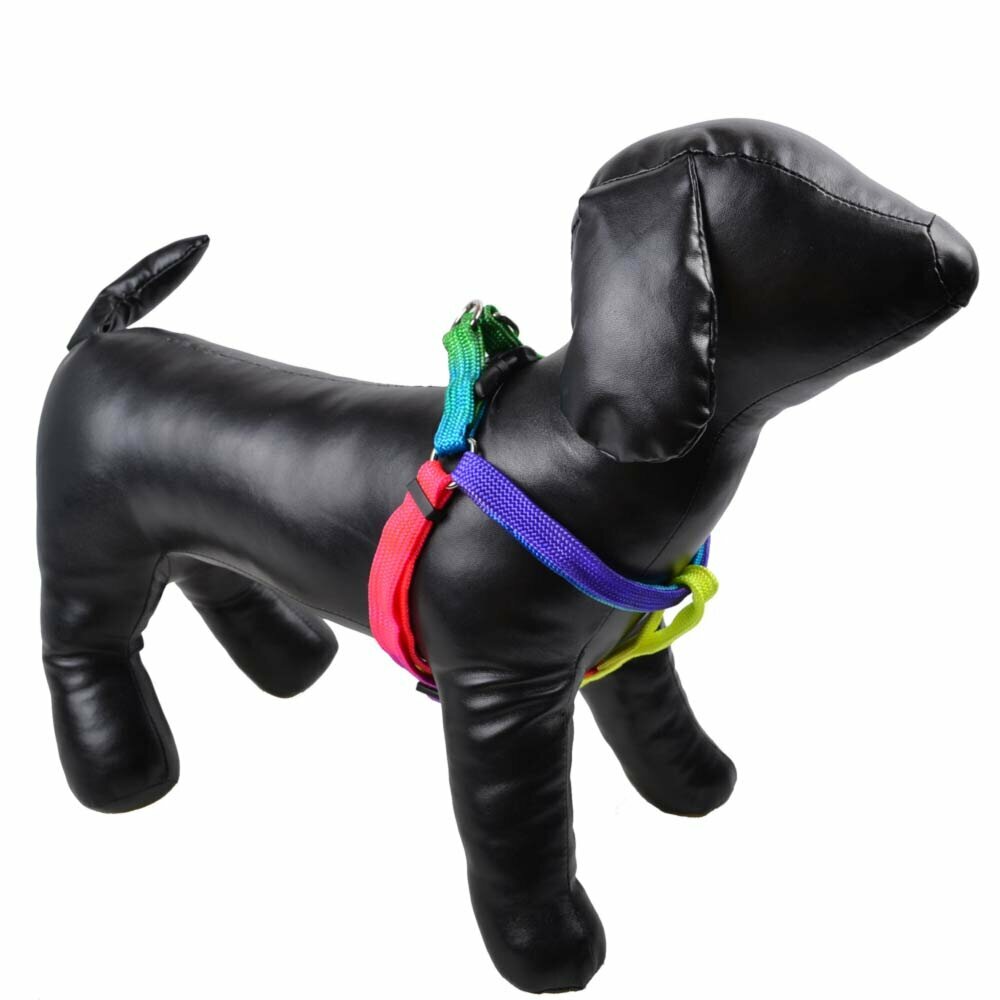 Arnés pechera para perros con los colores del arcoiris