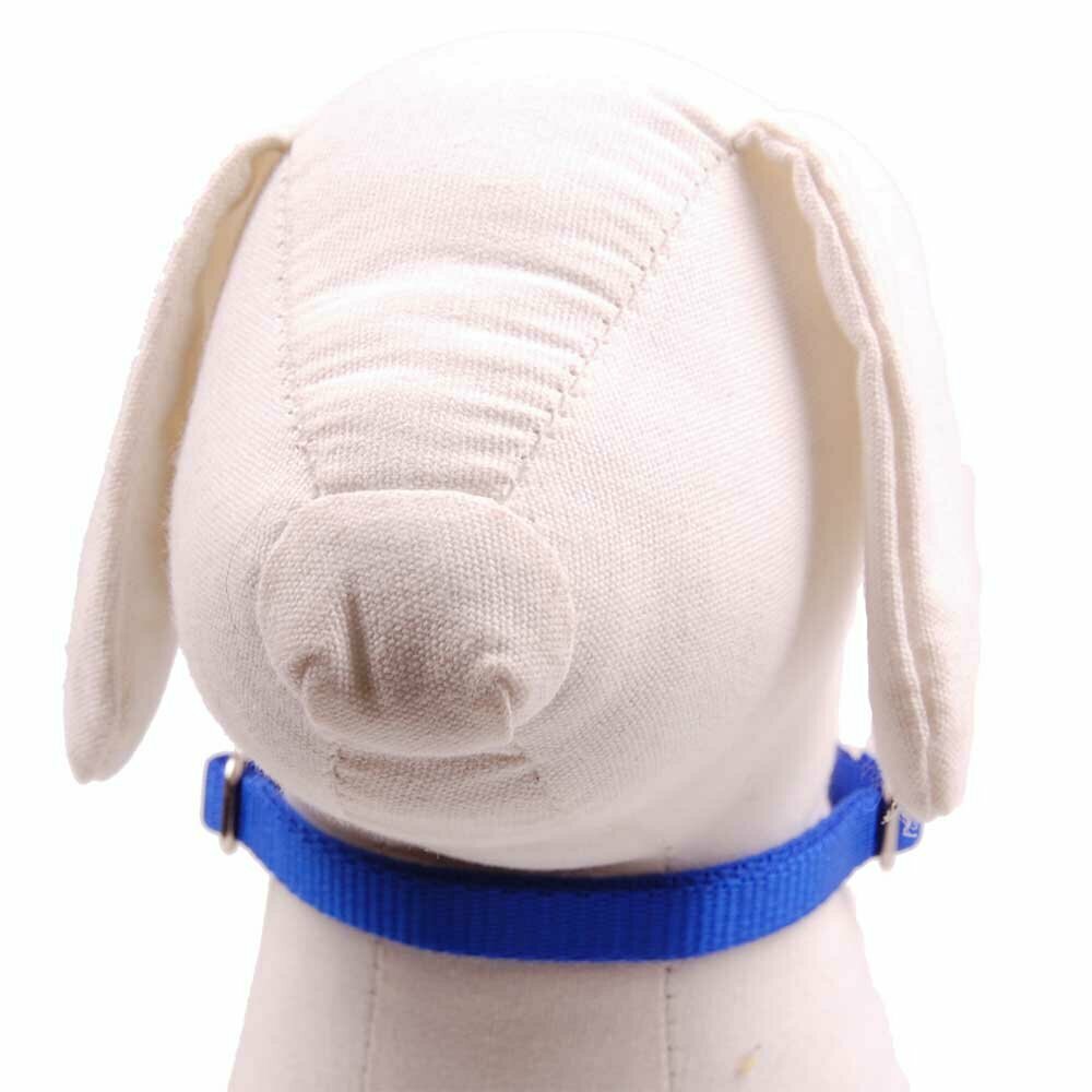 Collar para perros de nylon azul eléctrico- Súper económicos en Onlinezoo.