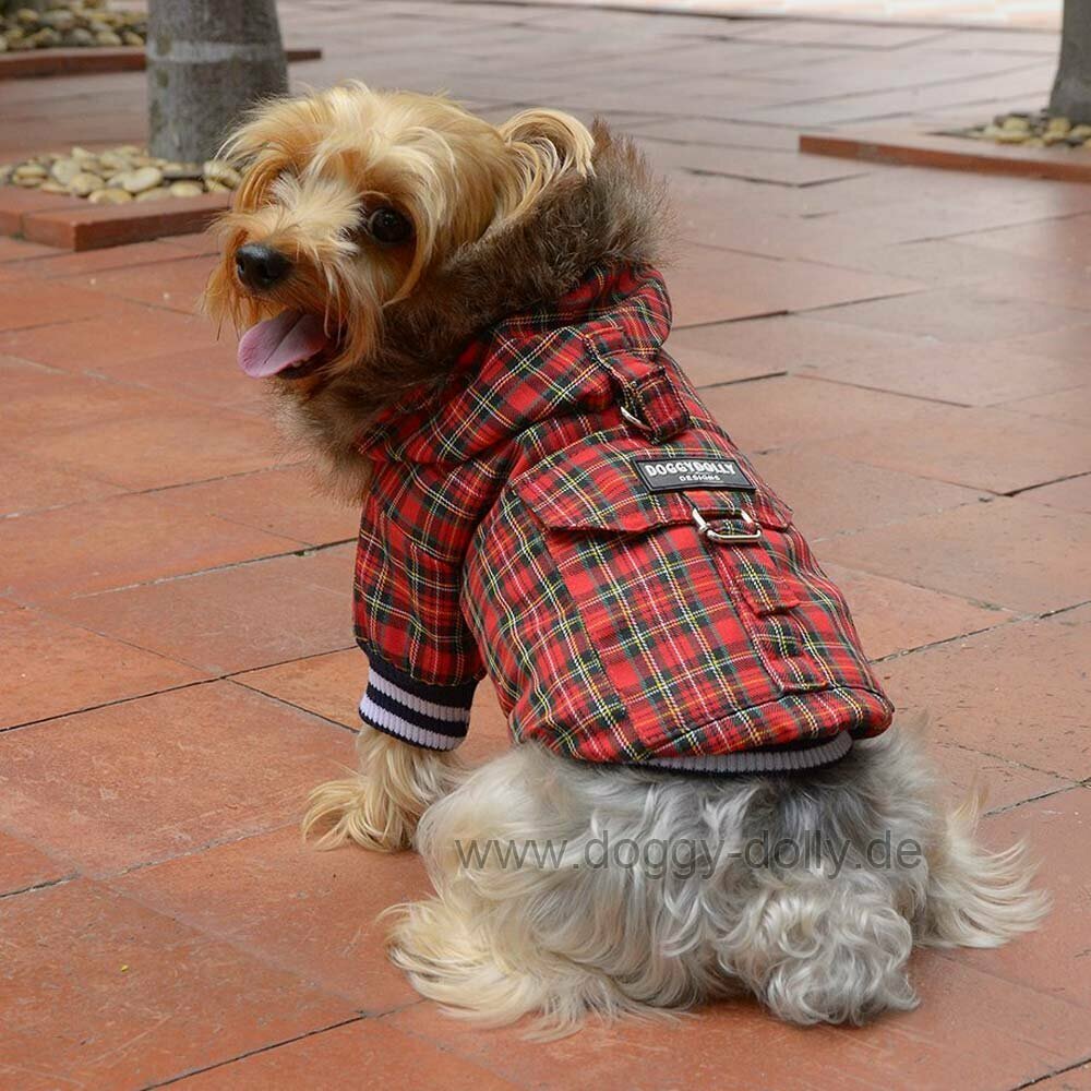 Abrigo de invierno con capucha para perros que quieren ir a la moda