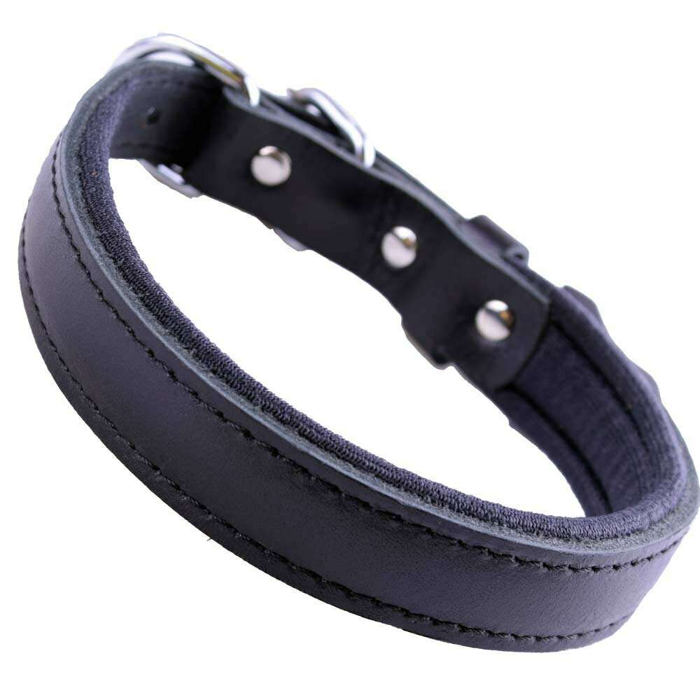 GogiPet® confort collar de perro de cuero negro con 40 cm