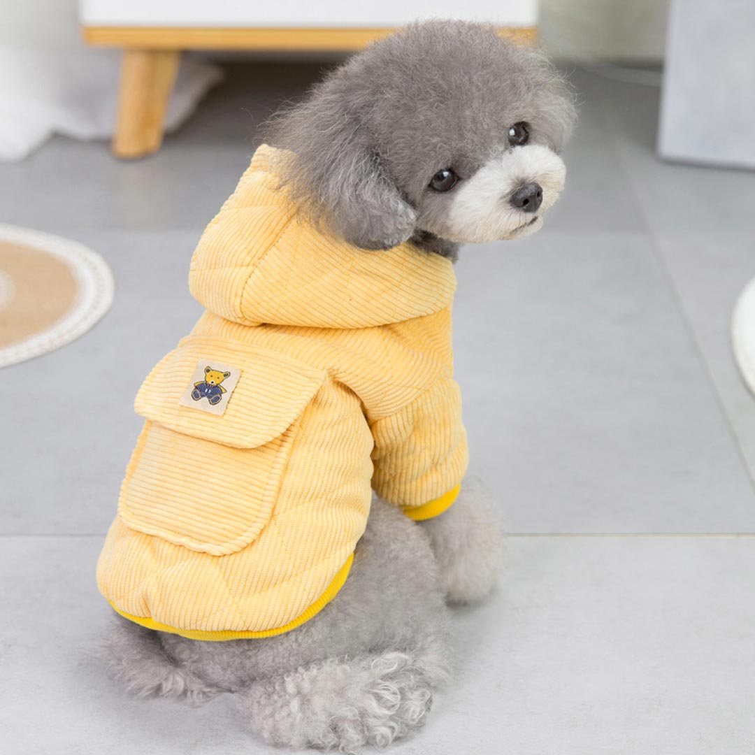 Cálida y moderna chaqueta para perros con capucha de pana amarilla