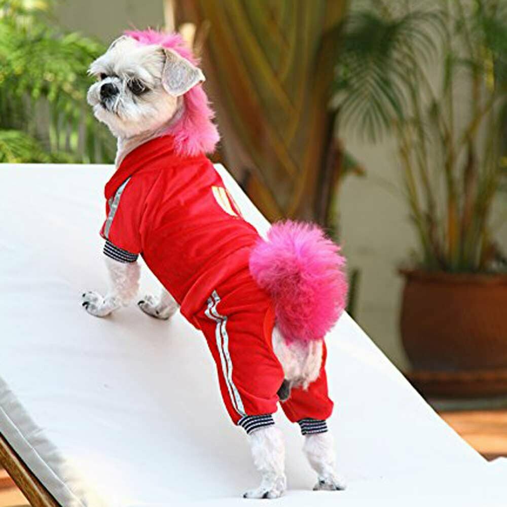 Chándal para perros de tejido niki "VIP" de Doggy Dolly rojo