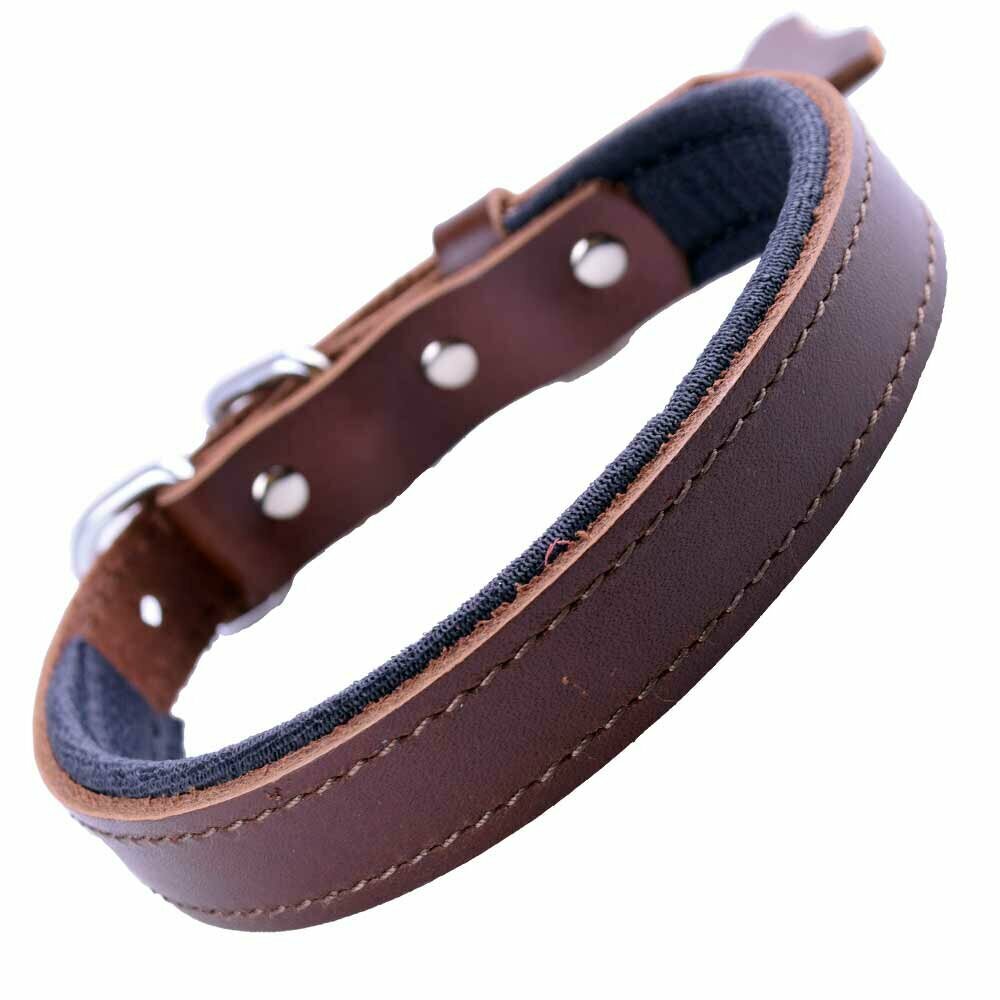 GogiPet® confort collar de perro de cuero marrón con 40 cm