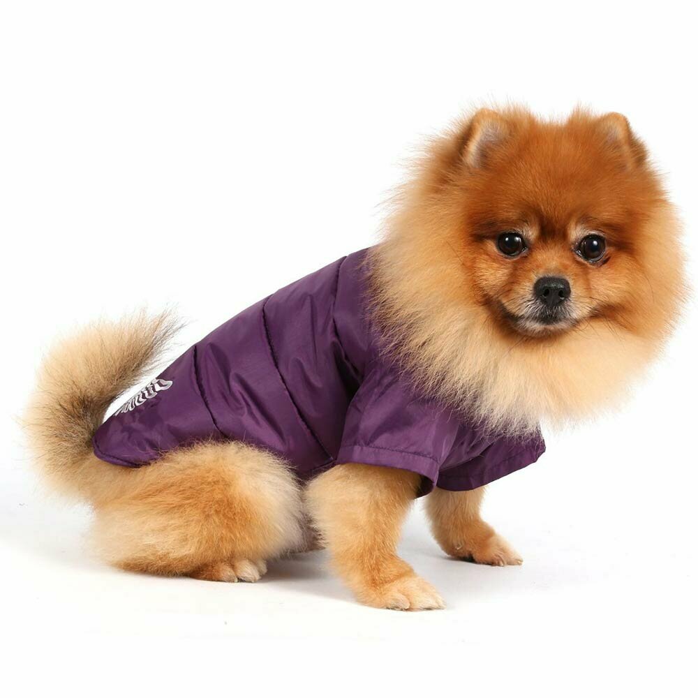 Anorak para perros lila - Ropa de abrigo para perros DoggyDolly