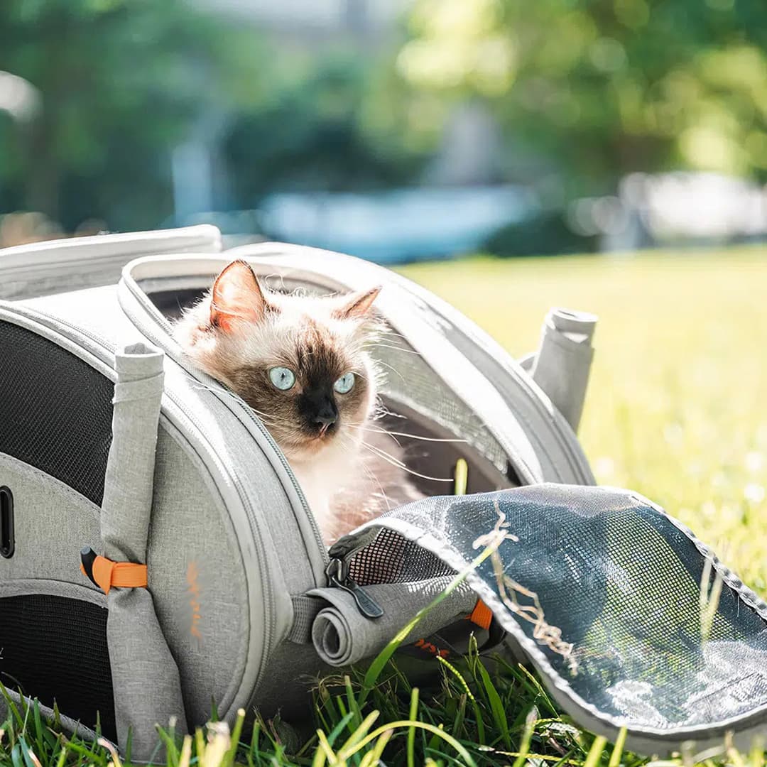 Cómoda mochila para gatos de GogiPet