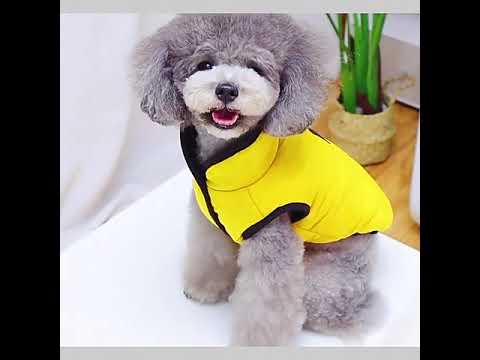 Anorak para perros sin mangas con forro cálido y esponjoso, amarillo