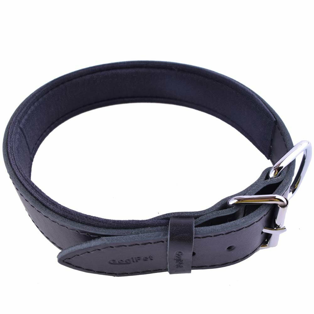 GogiPet® confort collar de perro de cuero negro