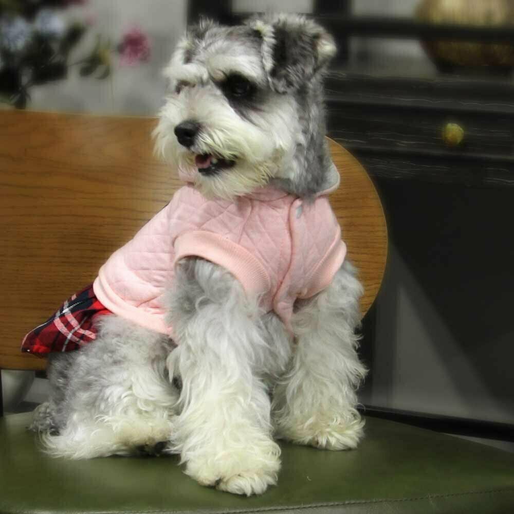 Vestido deportivo de invierno para perros  "Pierrette"  de GogiPet, rosa
