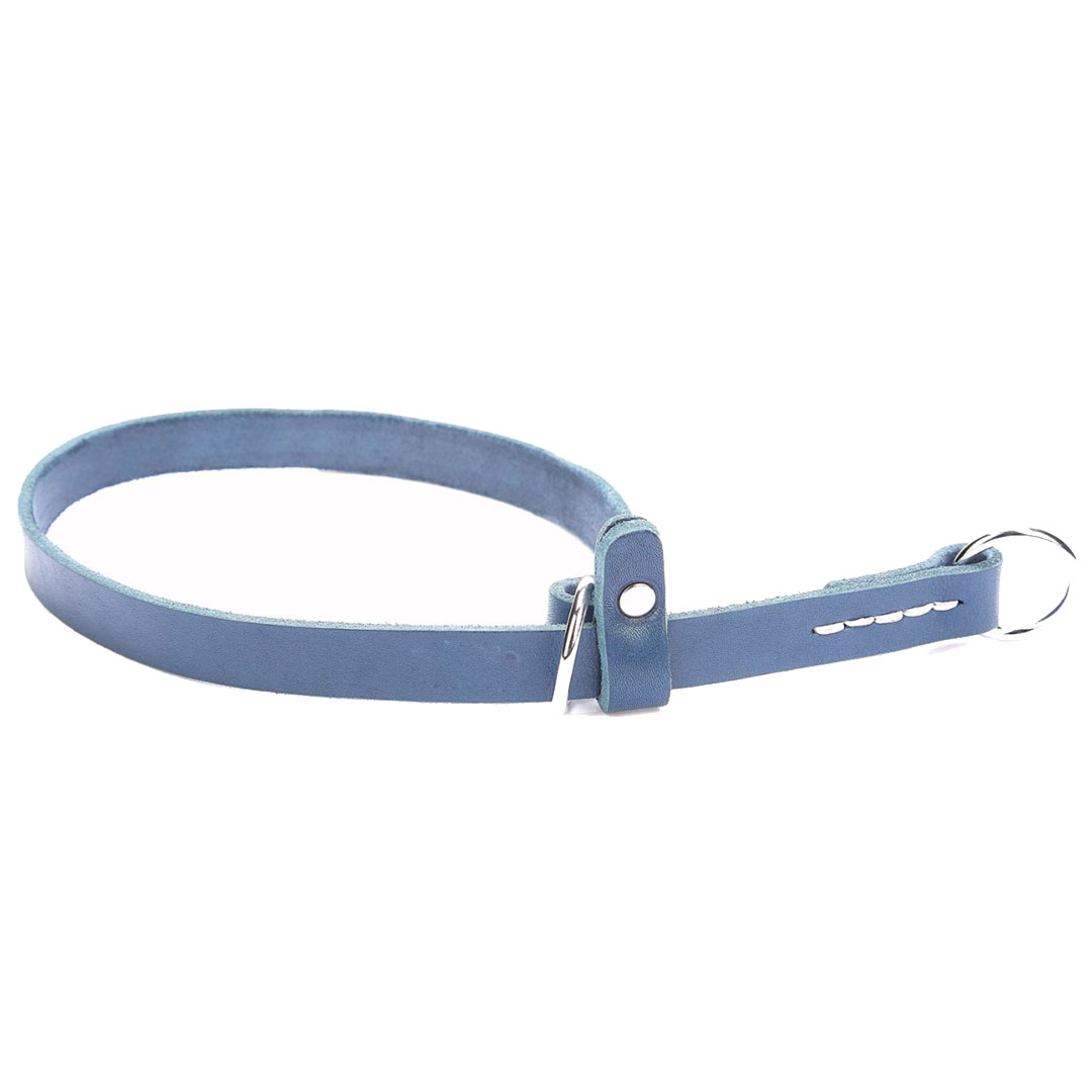 Collar de ahorque para perros en cuero genuino azul GogiPet® (de adiestramiento o doma)