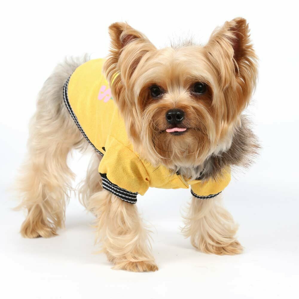 Abrigo para perros de DoggyDolly en color amarillo, con capucha