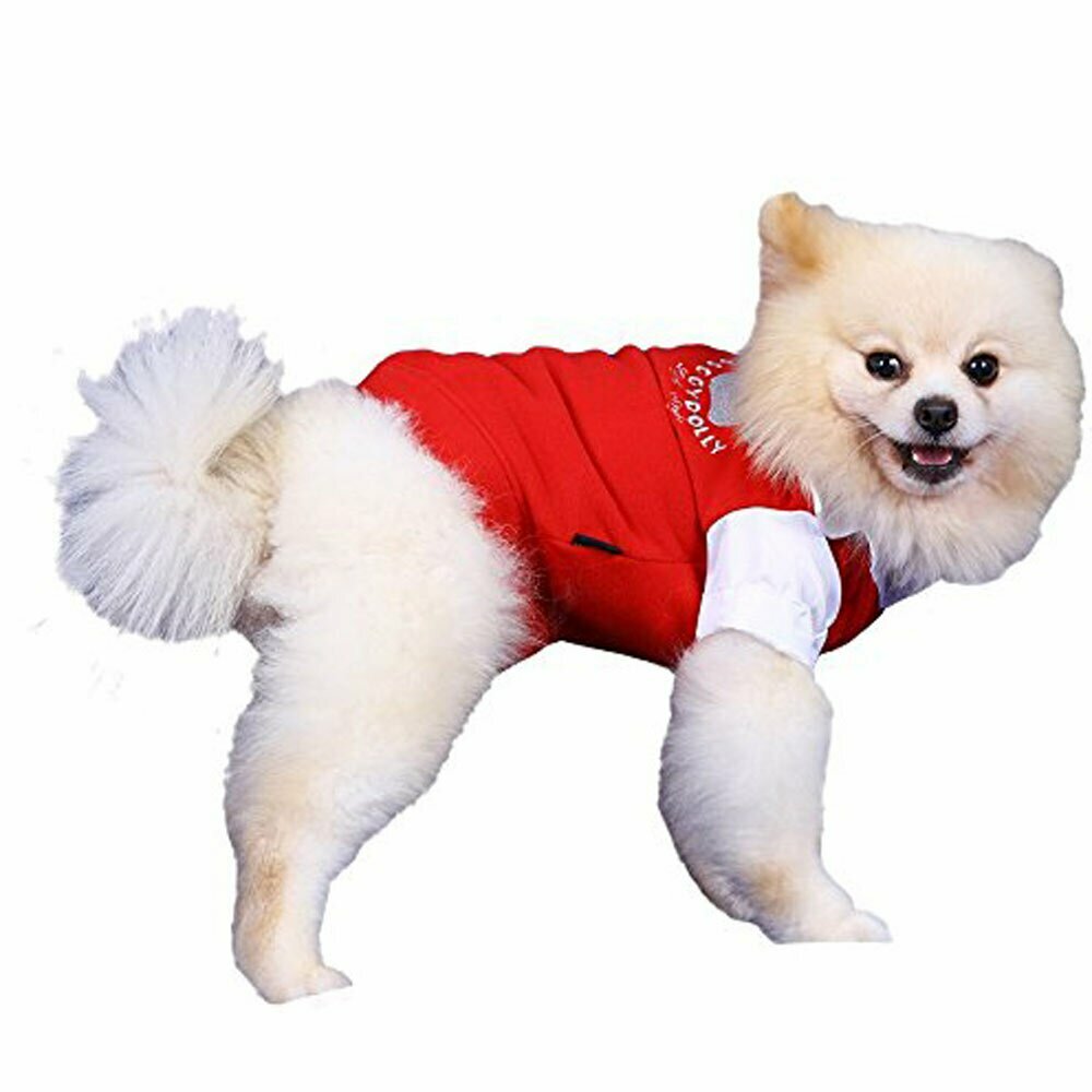 Suéter moderno para perros pequeños de forro polar DoggyDolly, rojo