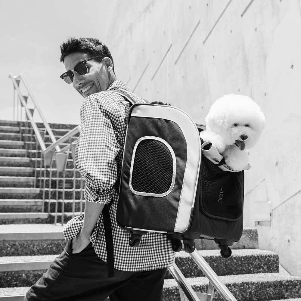 Innovador trolley y mochila para perros recomendados por GogiPet