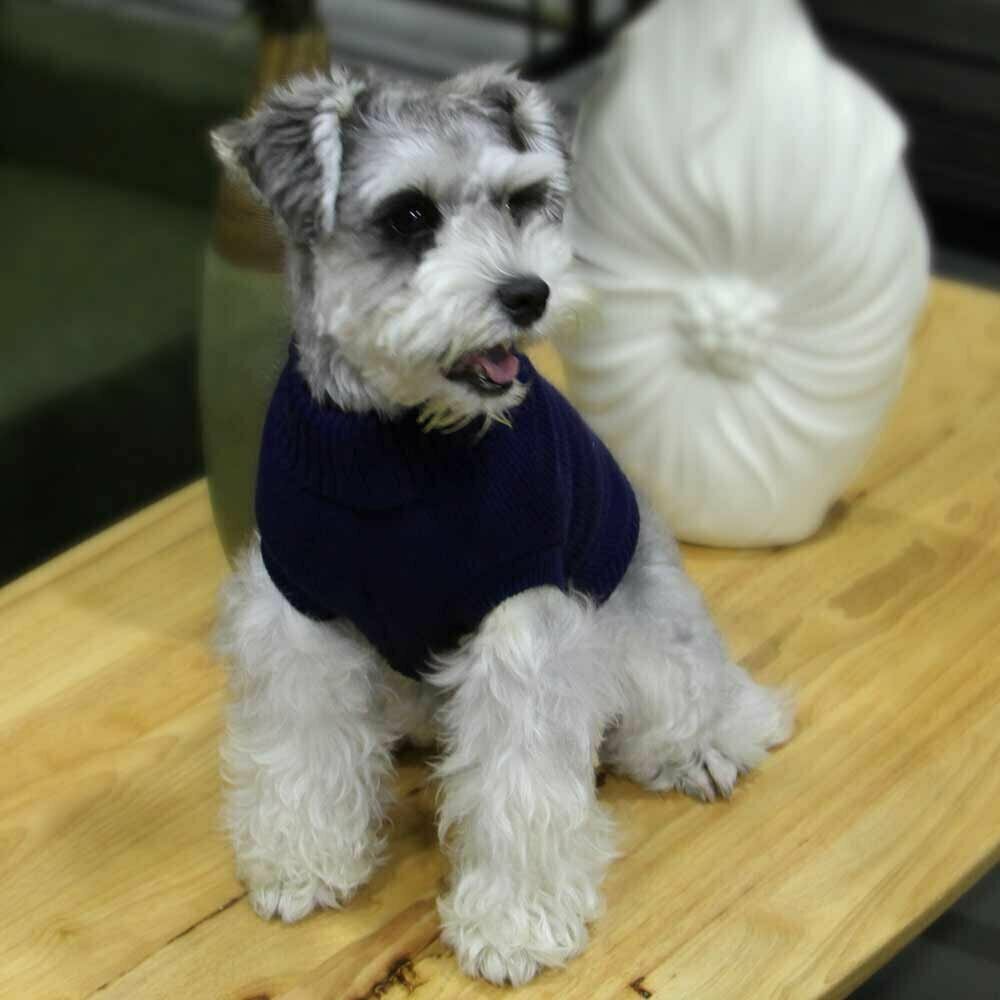 Suéter cálido de punto para perros "Rachel" de GogiPet, azul