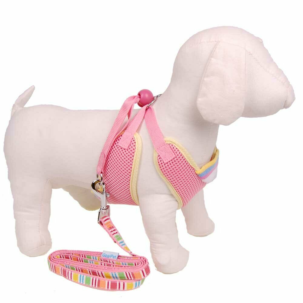 Arnés para perros acolchado, en color rosa con correa a juego de rayitas multicolores GogiPet