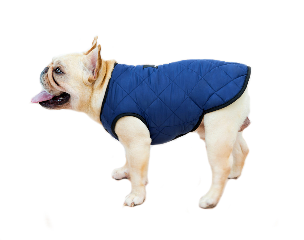 Parka para perros con forro cálido, en color azul marino