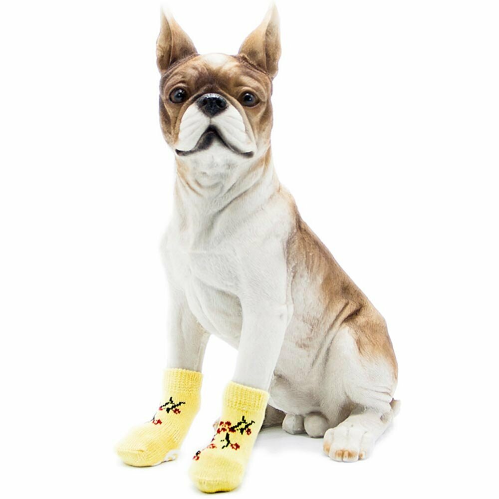 Calcetines antideslizantes perros GogiPet, amarillo con bonsai, alta calidad