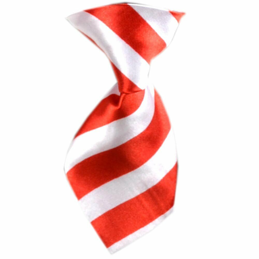 Corbata para perros con rayas rojas y blancas modelo "Hugo"