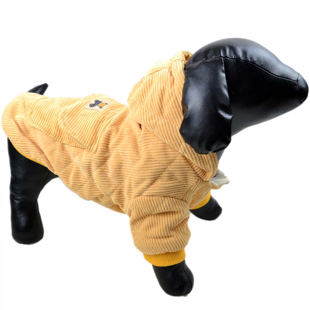 Bonita chaqueta para perros de pana amarilla con capucha - Ropa de abrigo para perros