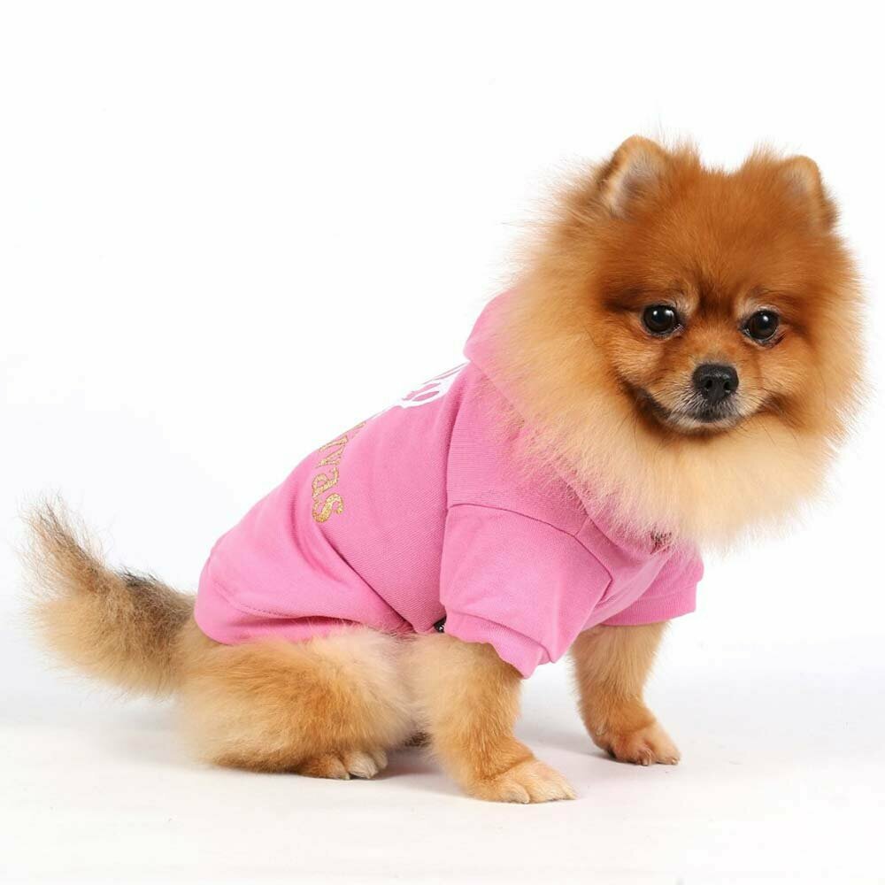 Suéter de invierno para perros en color rosa de DoggyDolly