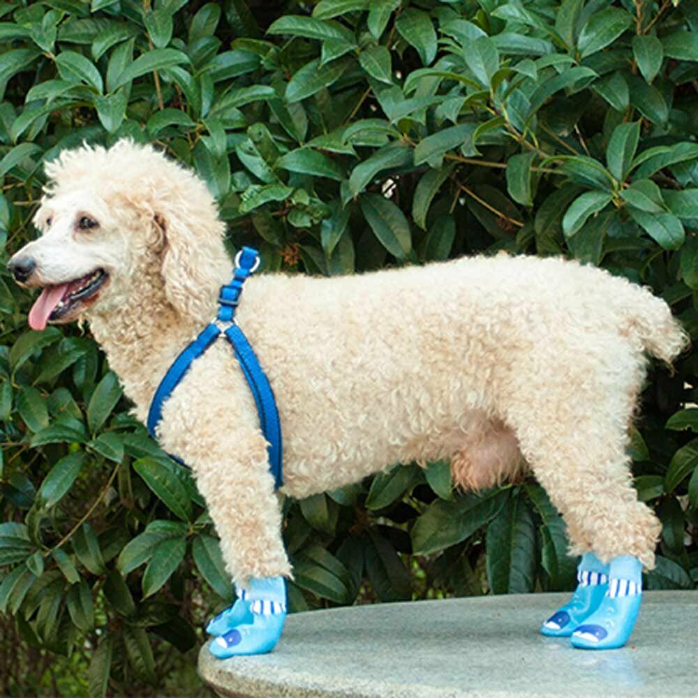 Botas para perros Ballena azul con suela de goma