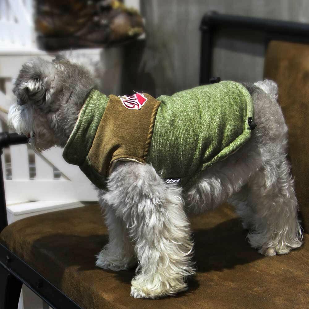 Chaleco cálido de algodón para perros "Celine", verde oliva