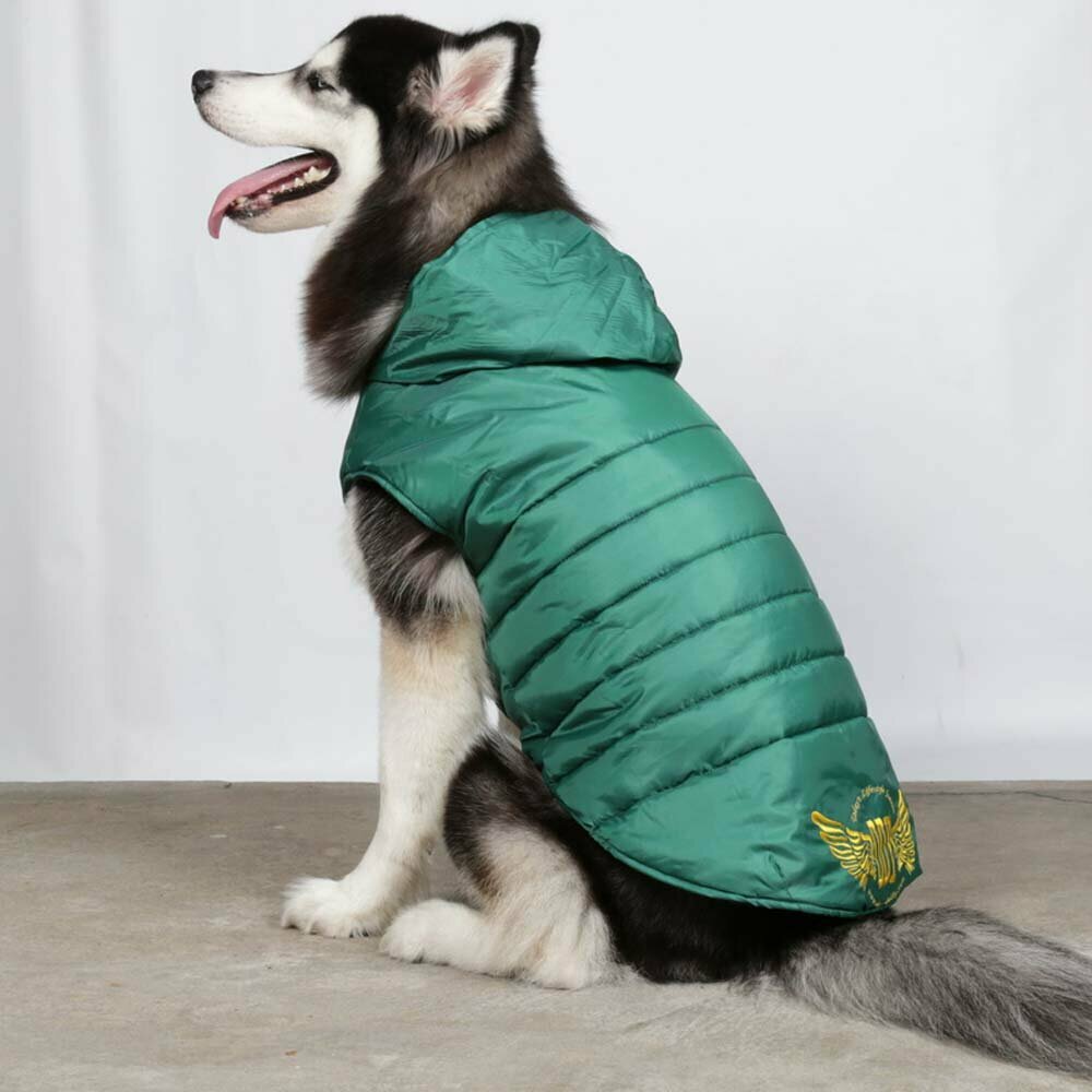 Chaleco acolchado para perros grandes de color verde con capucha